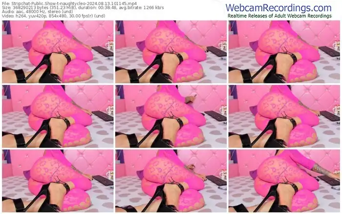 2024/08/13/stripchat-naughtycleo-10-11-45