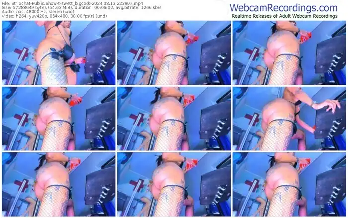 2024/08/13/stripchat-swett_bigcock-22-39-07