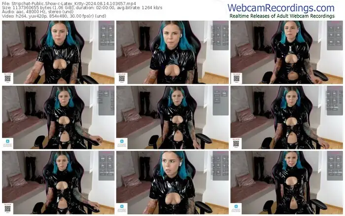 2024/08/14/stripchat-latex_kitty-10-36-57
