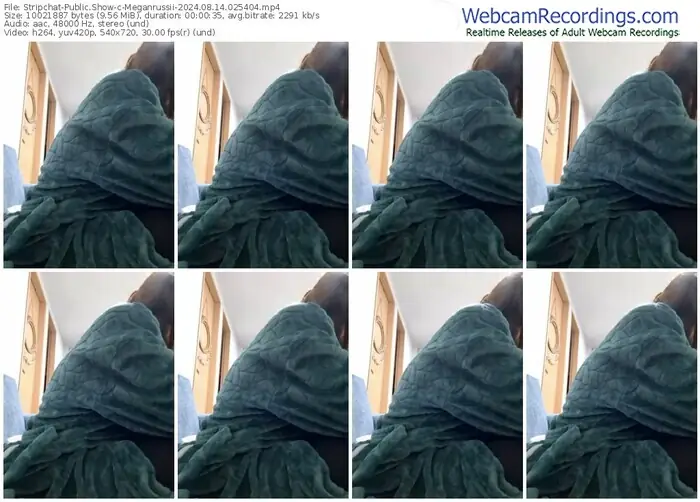 2024/08/14/stripchat-meganrussii-02-54-04