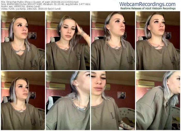 2024/08/14/stripchat-queen_of_pain-11-41-04