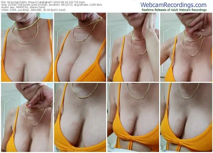 2024/08/14/stripchat-catababa67-10-17-16