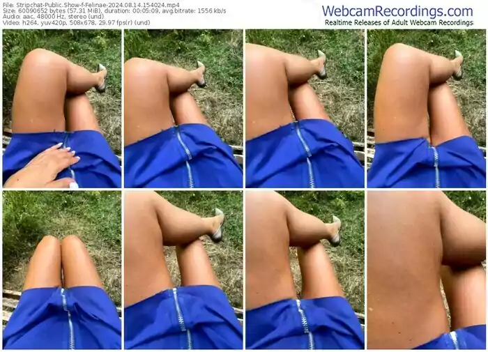 2024/08/14/stripchat-felinae-15-40-24