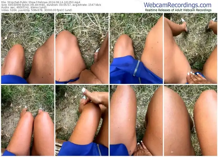 2024/08/14/stripchat-felinae-16-10-50