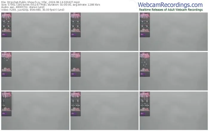 2024/08/14/stripchat-liu_yifei_-02-04-27