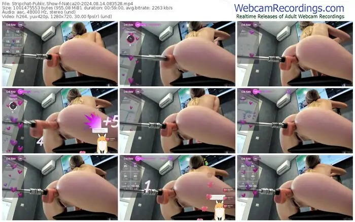 2024/08/14/stripchat-natca20-08-35-28