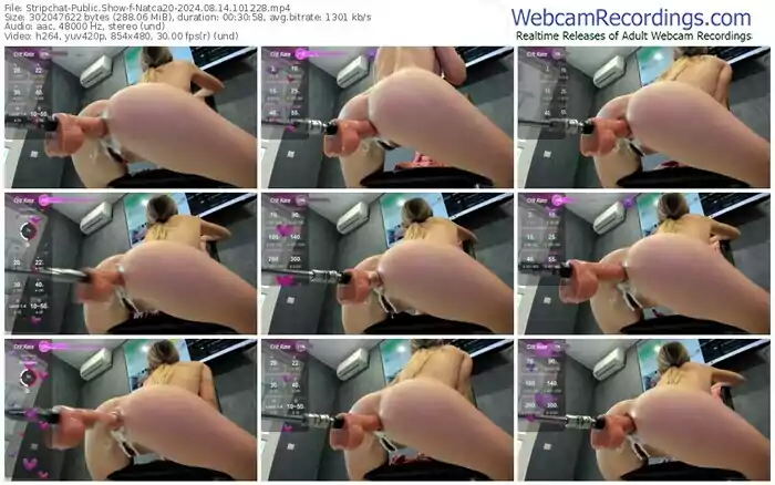 2024/08/14/stripchat-natca20-10-12-28