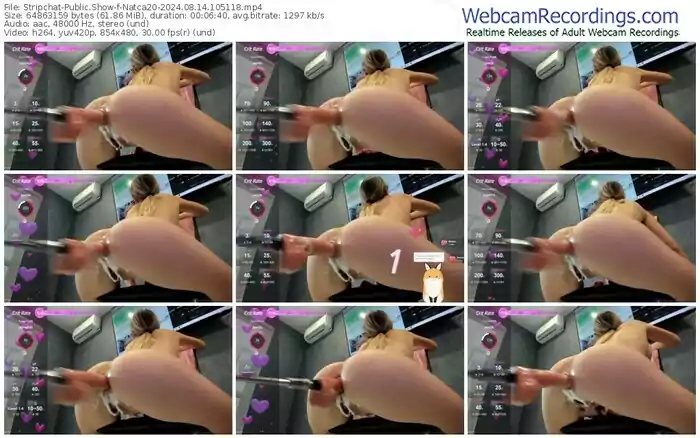 2024/08/14/stripchat-natca20-10-51-18