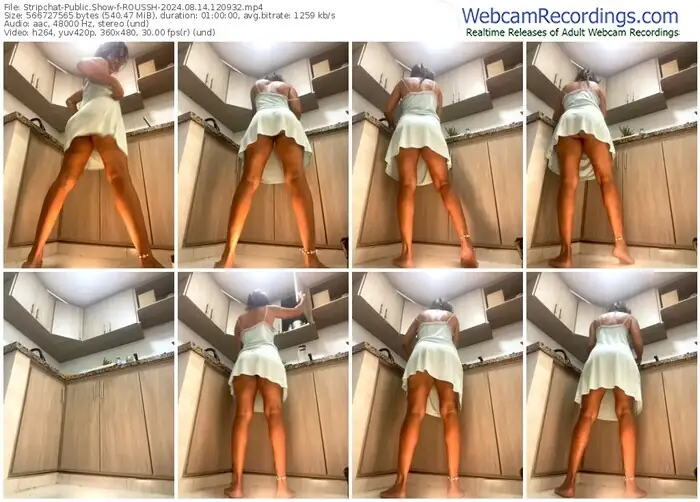 2024/08/14/stripchat-roussh-12-09-32