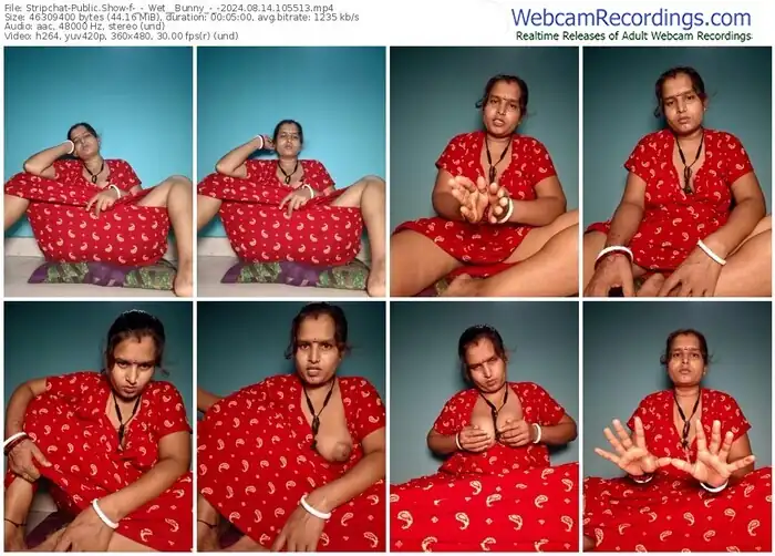 2024/08/14/stripchat-_-_wet__bunny_-_-10-55-13