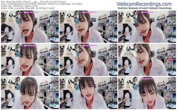 2024/08/14/stripchat-__lab__-13-47-53