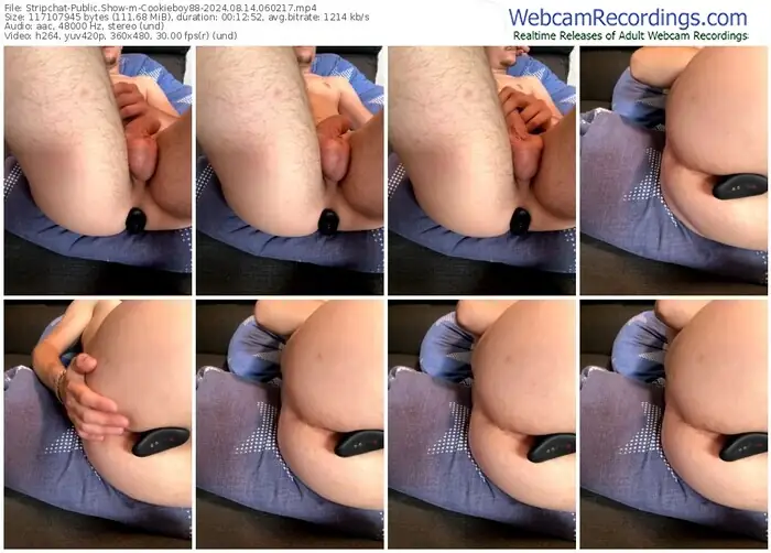 2024/08/14/stripchat-cookieboy88-06-02-17
