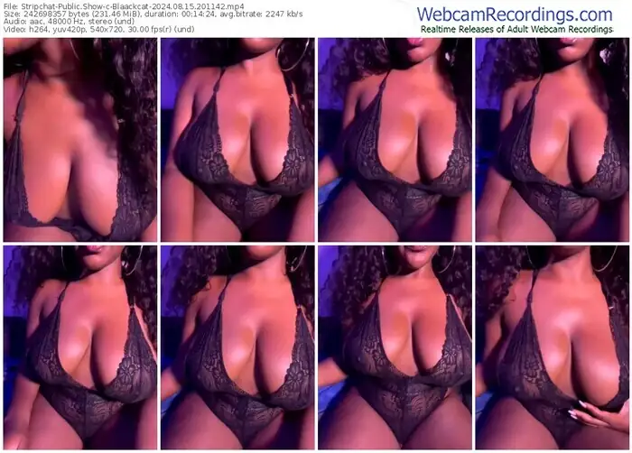 2024/08/15/stripchat-blaackcat-20-11-42