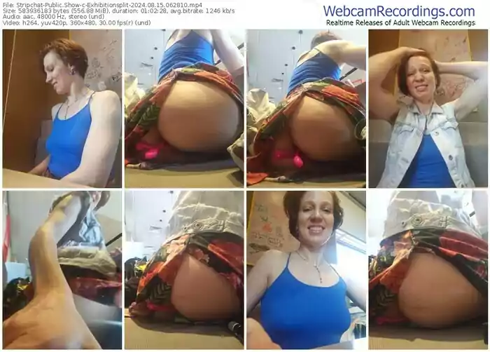 2024/08/15/stripchat-exhibitionsplit-06-28-10