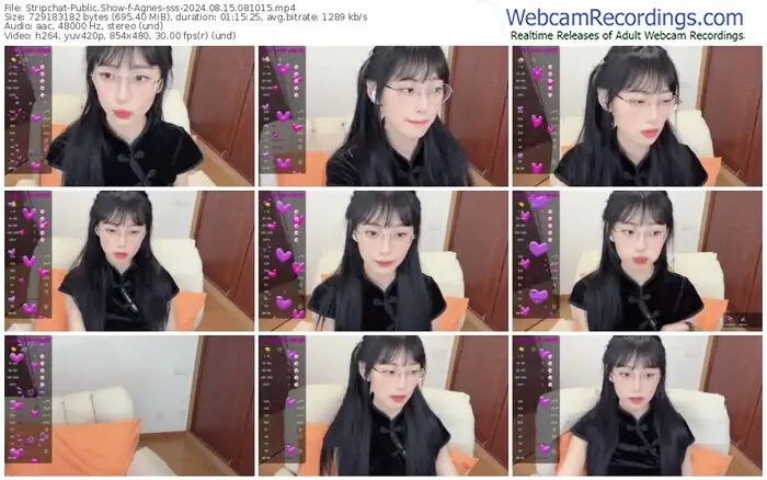 2024/08/15/stripchat-agnes-sss-08-10-15