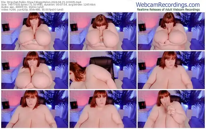 2024/08/15/stripchat-biggymelon-10-30-05