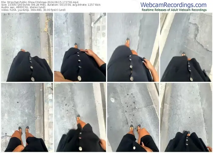 2024/08/15/stripchat-felinae-17-27-36