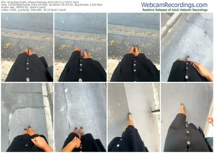 2024/08/15/stripchat-felinae-17-41-07