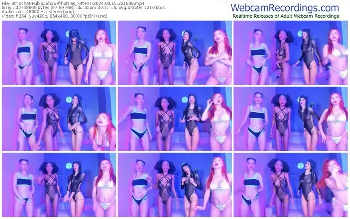 2024/08/15/stripchat-hotties_kittens-22-19-39