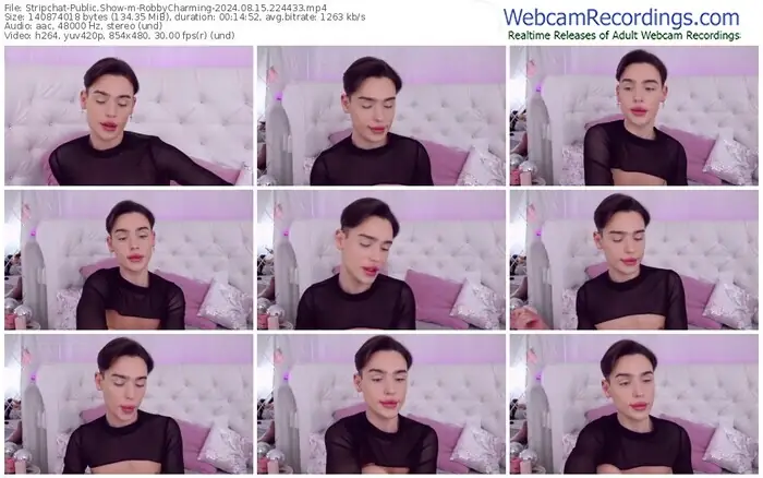 2024/08/15/stripchat-robbycharming-22-44-33