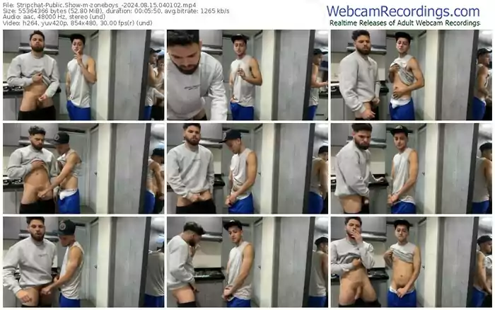 2024/08/15/stripchat-zoneboys_-04-01-02