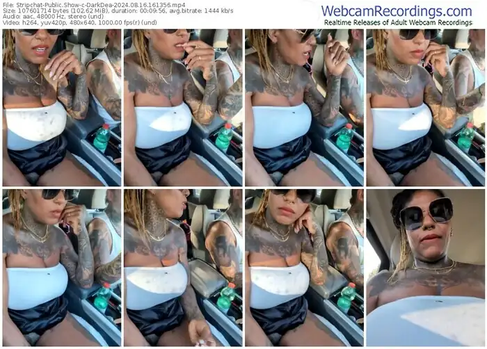 2024/08/16/stripchat-darkdea-16-13-56