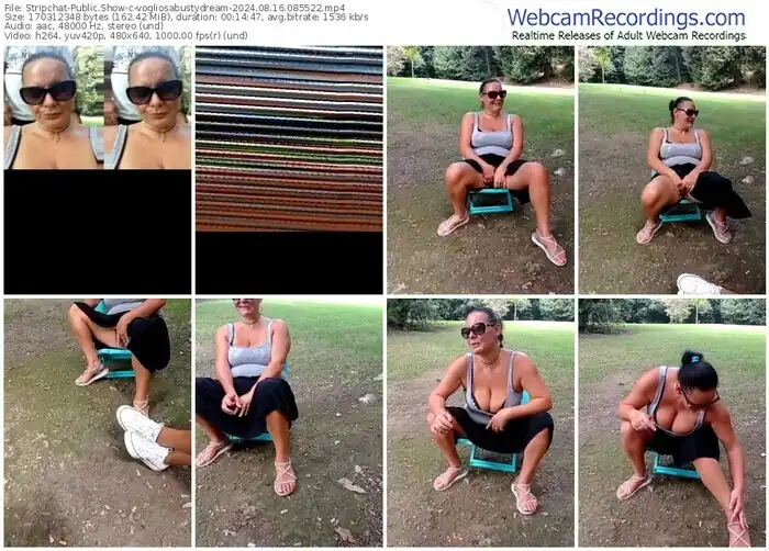 2024/08/16/stripchat-vogliosabustydream-08-55-22