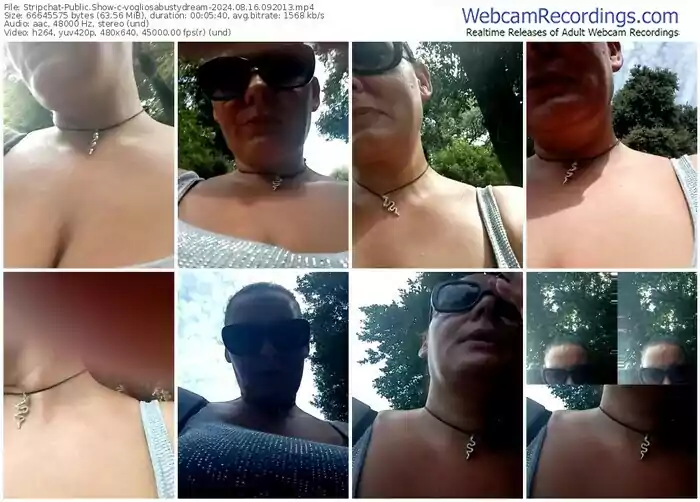 2024/08/16/stripchat-vogliosabustydream-09-20-13