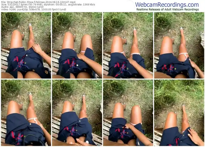 2024/08/16/stripchat-felinae-10-01-47