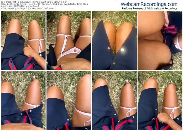 2024/08/16/stripchat-felinae-11-03-44