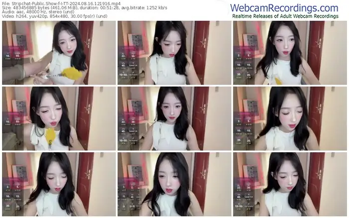 2024/08/16/stripchat-i-tt-12-19-16