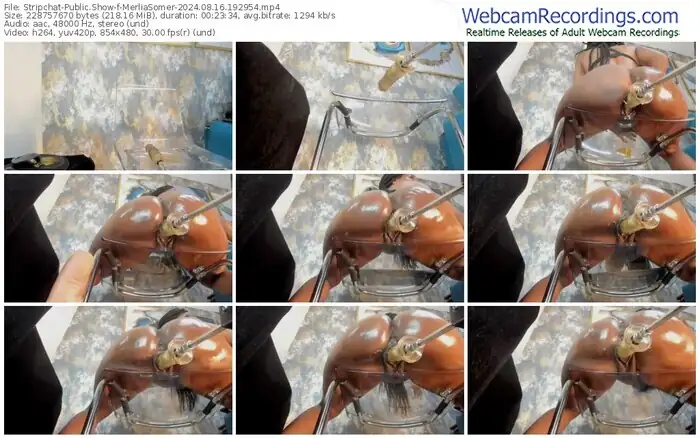 2024/08/16/stripchat-merliasomer-19-29-54