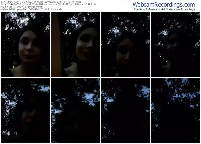 2024/08/16/stripchat-sandracarter-16-43-30