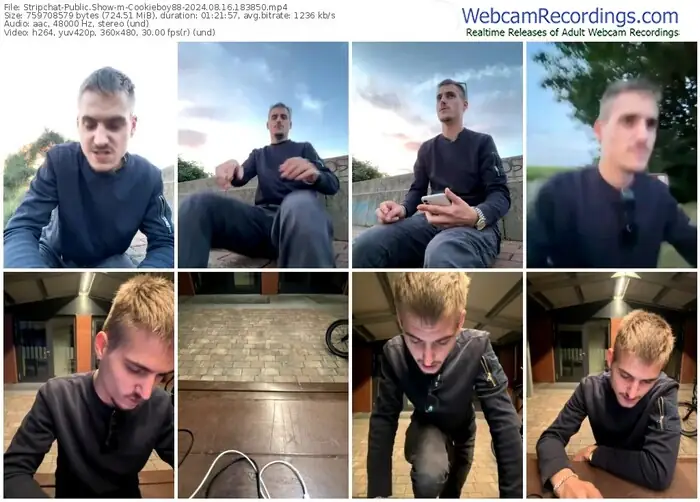 2024/08/16/stripchat-cookieboy88-18-38-50