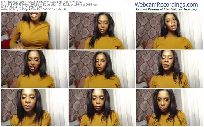 2024/08/16/stripchat-missmegane-05-39-29