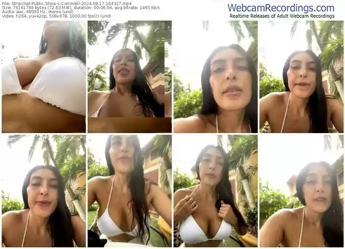 2024/08/17/stripchat-corinveil-16-43-27