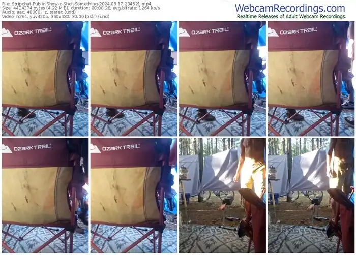 2024/08/17/stripchat-sheissomething-23-45-21