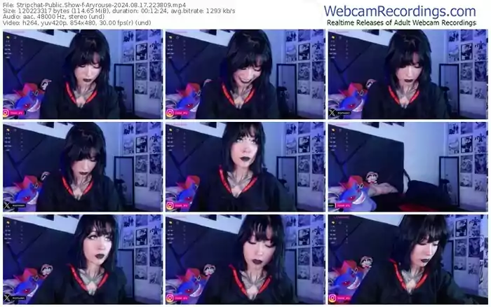 2024/08/17/stripchat-aryrouse-22-38-09