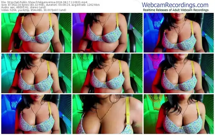 2024/08/17/stripchat-falguniverma-11-09-31