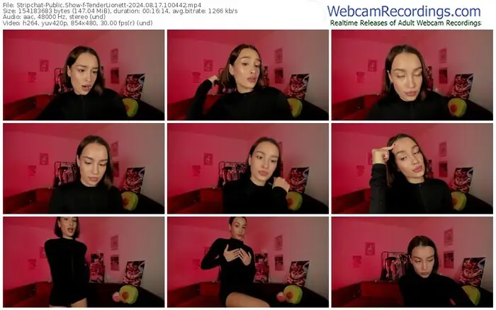 2024/08/17/stripchat-tenderlionett-10-04-42