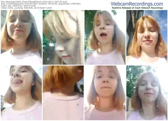 2024/08/17/stripchat-tessaflames-02-37-30