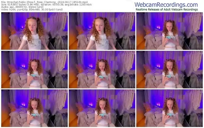 2024/08/17/stripchat-_rose_charming_-18-51-49