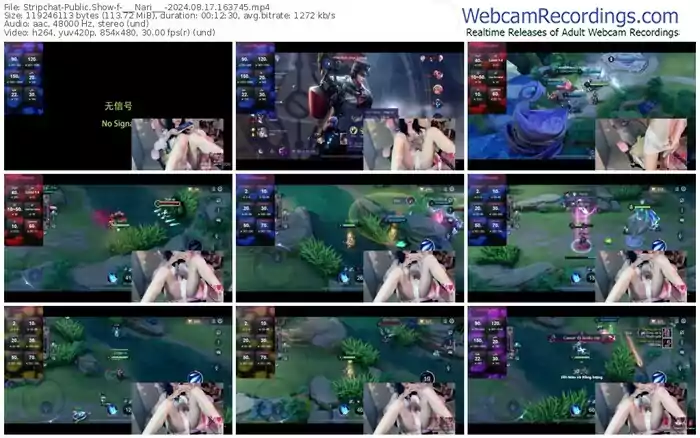 2024/08/17/stripchat-___nari___-16-37-45