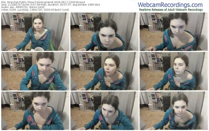 2024/08/17/stripchat-silvercaramel-23-02-39