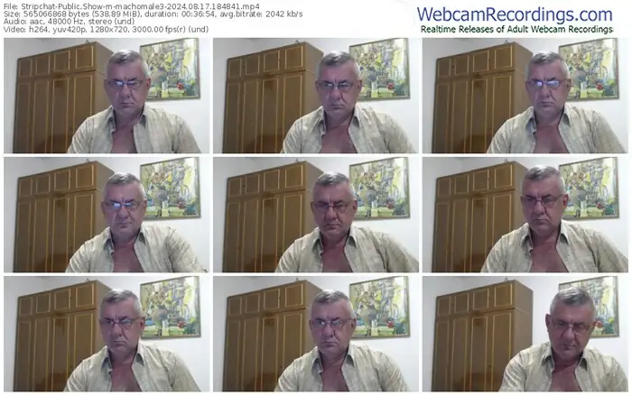 2024/08/17/stripchat-machomale3-18-48-41