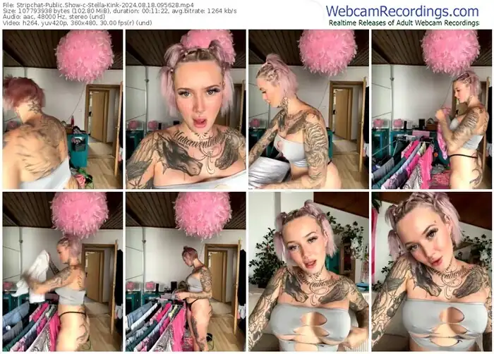 2024/08/18/stripchat-stella-kink-09-56-28