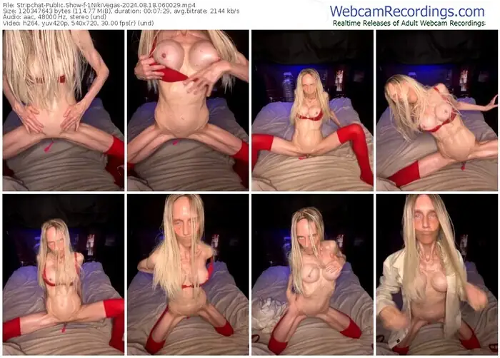 2024/08/18/stripchat-1nikivegas-06-00-29