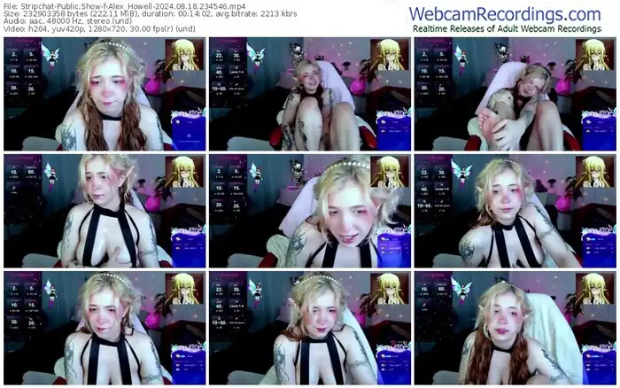 2024/08/18/stripchat-alex_howell-23-45-46