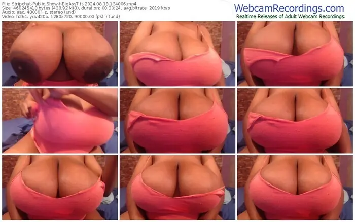 2024/08/18/stripchat-bigasstitt-13-40-06