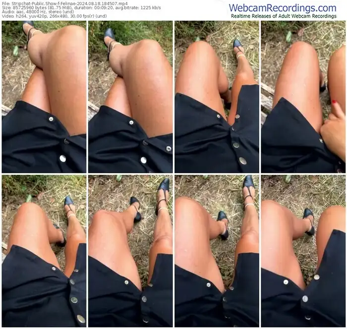 2024/08/18/stripchat-felinae-18-45-07